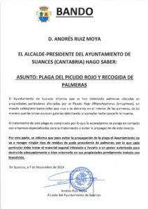 BANDO MUNICIPAL PICUDO ROJO EN PALMERAS