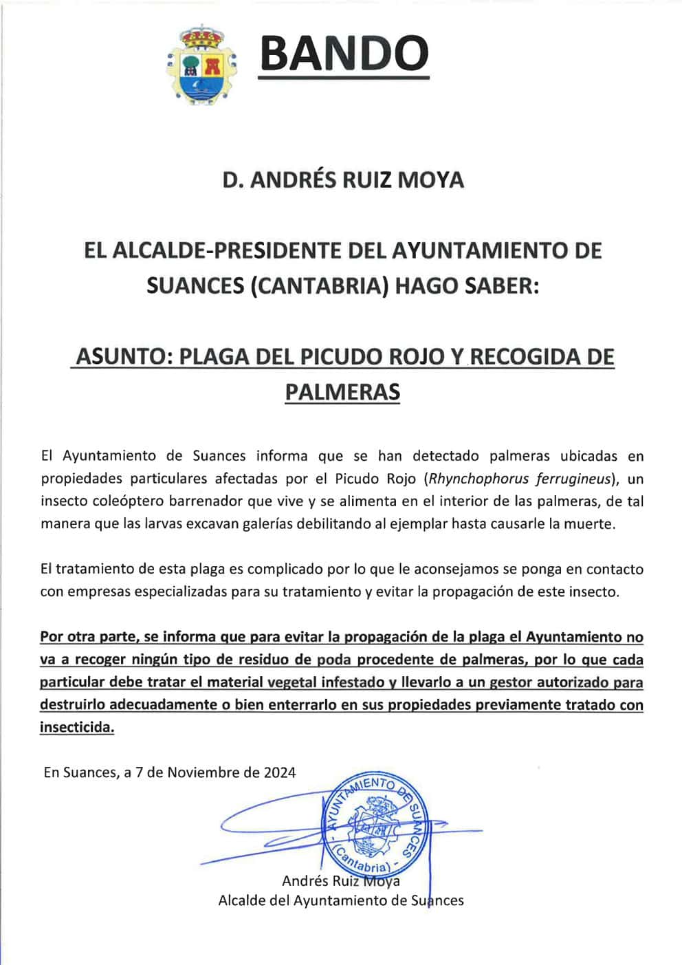 BANDO MUNICIPAL PICUDO ROJO EN PALMERAS